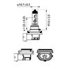 Image du produit pour Ampoule H11 Vision 55 W [12 V] (1 pc.)