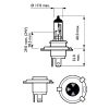 Image du produit pour Ampoule, projecteur longue portée LongLife EcoVision