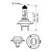 Image du produit pour Ampoule H7 Vision 55 W [12 V] (1 pc.)