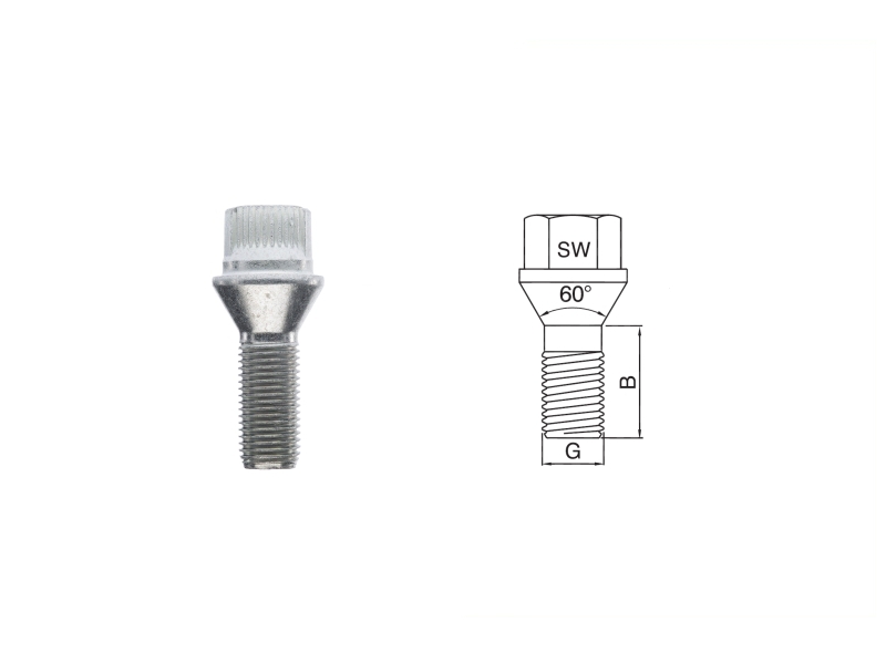 Blocage de roue rondelle conique (4 pcs) | raidhp