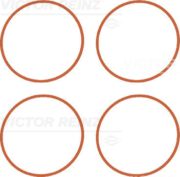 Jeu de joints d'étanchéité, collecteur d'admission | VICTOR REINZ