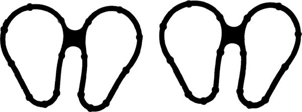 Jeu de joints d'étanchéité, collecteur d'admission | VICTOR REINZ