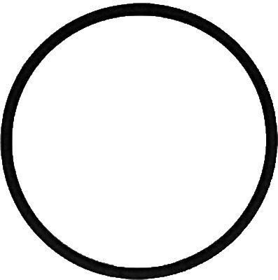 Joint d'étanchéité, collecteur d'admission | VICTOR REINZ