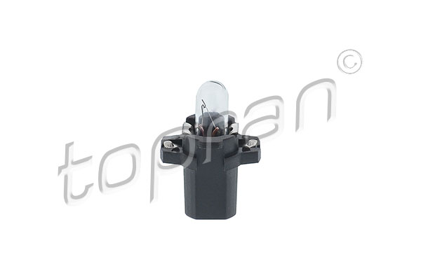 Ampoule | TOPRAN
