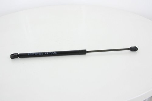 Vérin de hayon, de coffre | TRISCAN
