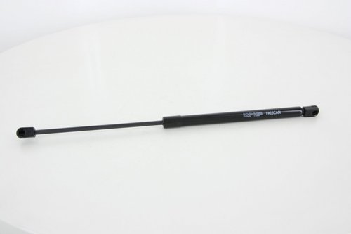 Vérin de hayon, de coffre | TRISCAN