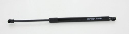 Vérin de hayon, de coffre | TRISCAN