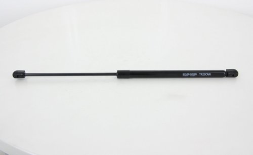Vérin de hayon, de coffre | TRISCAN
