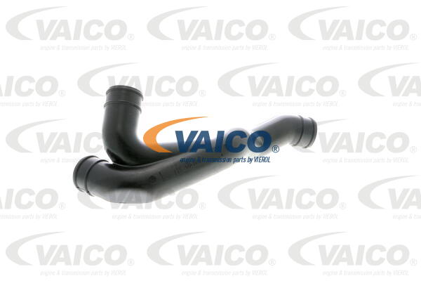 Tuyau, ventilation de carter-moteur Qualité VAICO originale | VAICO