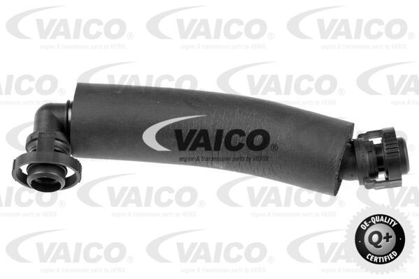 Tuyau, ventilation de carter-moteur Q+, Première Monte | VAICO