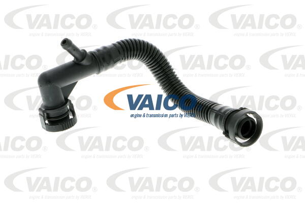 Tuyau, ventilation de carter-moteur Qualité VAICO originale | VAICO