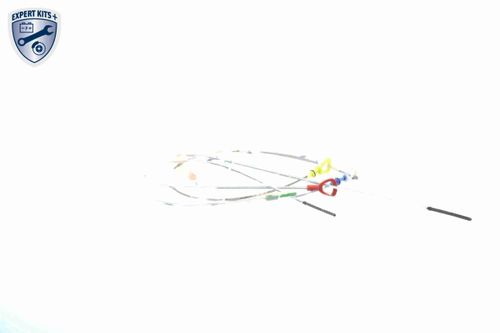 Image du produit pour Jauge de niveau d'huile EXPERT KITS +