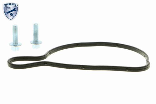 Image du produit pour Pompe à eau EXPERT KITS +