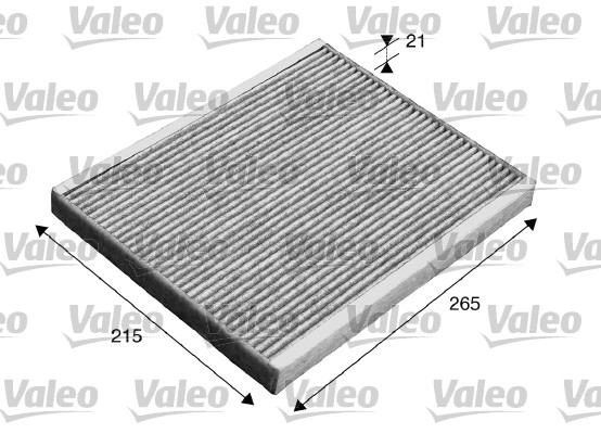 Filtre, air de l'habitacle CLIMFILTER PROTECT | VALEO