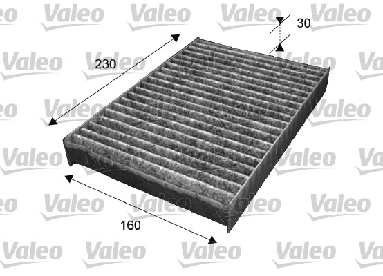 Filtre, air de l'habitacle CLIMFILTER PROTECT | VALEO