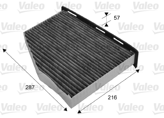 Filtre, air de l'habitacle CLIMFILTER PROTECT | VALEO