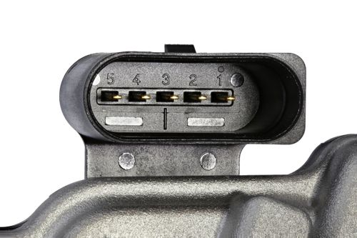 Image du produit pour Corps papillon