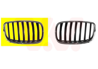 Grille de radiateur | VAN WEZEL