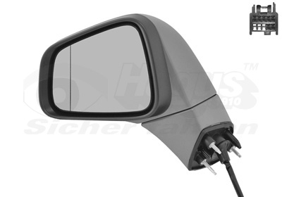 Rétroviseur extérieur * HAGUS * | VAN WEZEL