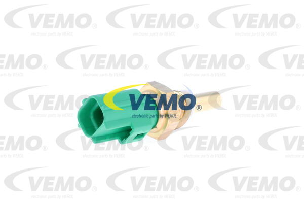 Capteur, température d'huile Qualité VEMO originale | VEMO